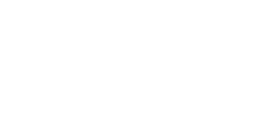 Koruma Labs